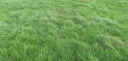 Terrain à Villeblevin en Yonne (89) de 675 m² à vendre au prix de 55000€