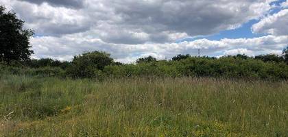 Terrain à Chaumont-sur-Loire en Loir-et-Cher (41) de 950 m² à vendre au prix de 39000€