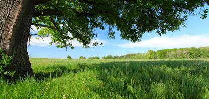 Terrain à Villeneuve-sous-Pymont en Jura (39) de 1500 m² à vendre au prix de 120000€