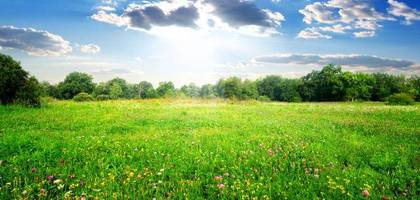 Terrain à Athée-sur-Cher en Indre-et-Loire (37) de 500 m² à vendre au prix de 57000€