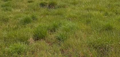 Terrain à Gradignan en Gironde (33) de 510 m² à vendre au prix de 165000€