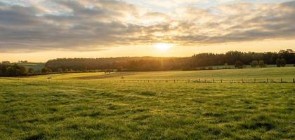 Terrain à Auvers-le-Hamon en Sarthe (72) de 450 m² à vendre au prix de 14465€