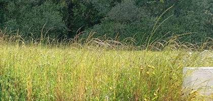 Terrain à Beaulieu-sous-la-Roche en Vendée (85) de 441 m² à vendre au prix de 61700€