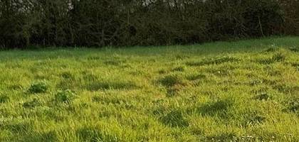 Terrain à Lairoux en Vendée (85) de 590 m² à vendre au prix de 28810€