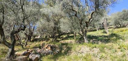 Terrain à Saint-Martin-du-Var en Alpes-Maritimes (06) de 1129 m² à vendre au prix de 210000€