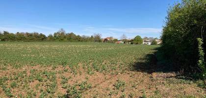 Terrain à Champagnolles en Charente-Maritime (17) de 2247 m² à vendre au prix de 39900€