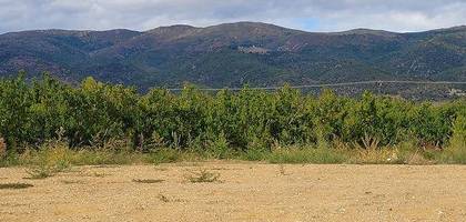 Terrain à Los Masos en Pyrénées-Orientales (66) de 287 m² à vendre au prix de 59000€