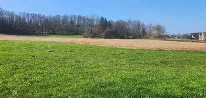 Terrain à Hirsingue en Haut-Rhin (68) de 1247 m² à vendre au prix de 210000€