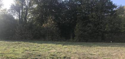 Terrain à Neuvy en Marne (51) de 1684 m² à vendre au prix de 38000€