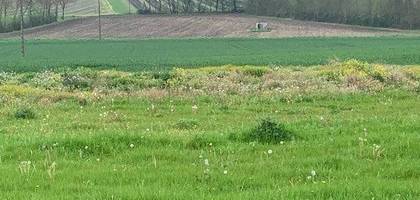 Terrain à Angeac-Champagne en Charente (16) de 1400 m² à vendre au prix de 33000€