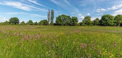 Terrain à Ballan-Miré en Indre-et-Loire (37) de 517 m² à vendre au prix de 140000€