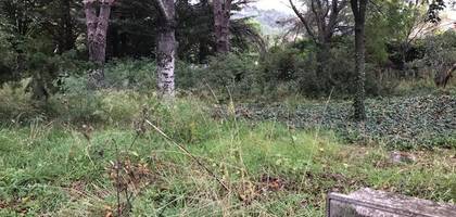 Terrain à Vendargues en Hérault (34) de 248 m² à vendre au prix de 169900€