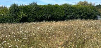 Terrain à Mosnes en Indre-et-Loire (37) de 441 m² à vendre au prix de 40280€