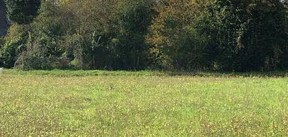 Terrain à Langeais en Indre-et-Loire (37) de 560 m² à vendre au prix de 75000€