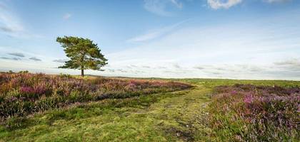 Terrain à Château-la-Vallière en Indre-et-Loire (37) de 2800 m² à vendre au prix de 39900€