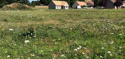 Terrain à Cangey en Indre-et-Loire (37) de 1110 m² à vendre au prix de 71300€