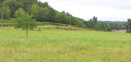 Terrain à Montpeyroux en Dordogne (24) de 1160 m² à vendre au prix de 23200€