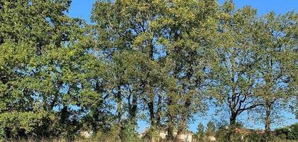 Terrain à Froidfond en Vendée (85) de 890 m² à vendre au prix de 56200€