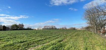 Terrain à Pomarez en Landes (40) de 1010 m² à vendre au prix de 60500€