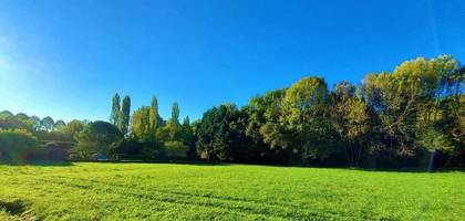 Terrain à Orches en Vienne (86) de 999 m² à vendre au prix de 19800€