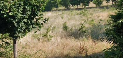 Terrain à Vigoulet-Auzil en Haute-Garonne (31) de 1400 m² à vendre au prix de 275000€