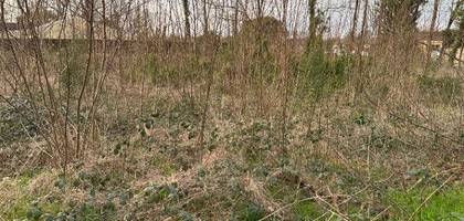 Terrain à Saint-Denis-de-Pile en Gironde (33) de 1200 m² à vendre au prix de 95000€