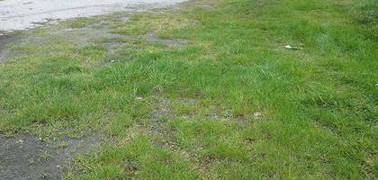 Terrain à Celles en Charente-Maritime (17) de 1000 m² à vendre au prix de 18000€