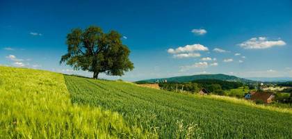 Terrain à Mazières-de-Touraine en Indre-et-Loire (37) de 820 m² à vendre au prix de 72000€