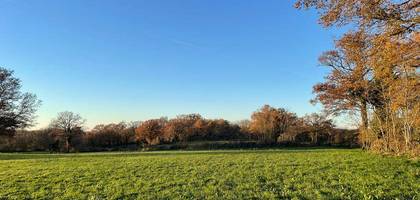 Terrain à Mosnay en Indre (36) de 1300 m² à vendre au prix de 12500€
