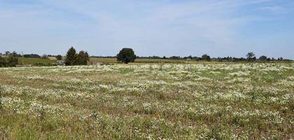 Terrain à Rosay en Seine-Maritime (76) de 650 m² à vendre au prix de 67000€