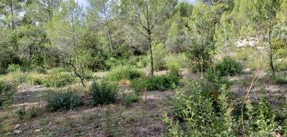 Terrain à Assas en Hérault (34) de 313 m² à vendre au prix de 215000€