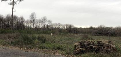 Terrain à Écouflant en Maine-et-Loire (49) de 308 m² à vendre au prix de 100000€