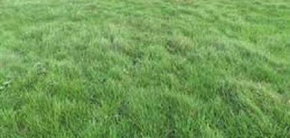 Terrain à Villeblevin en Yonne (89) de 600 m² à vendre au prix de 55000€