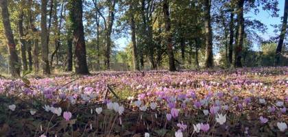 Terrain à Saint-André-de-Cubzac en Gironde (33) de 2195 m² à vendre au prix de 76000€
