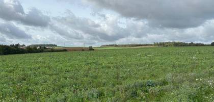 Terrain à Inglange en Moselle (57) de 950 m² à vendre au prix de 120000€