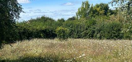 Terrain à Cigogné en Indre-et-Loire (37) de 1238 m² à vendre au prix de 59000€