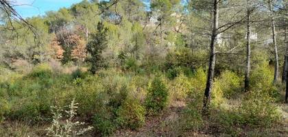 Terrain à Brignoles en Var (83) de 690 m² à vendre au prix de 140000€