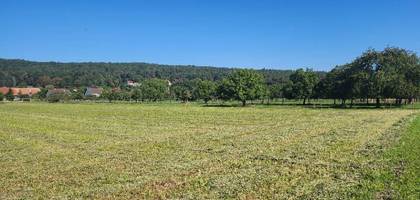 Terrain à Raedersdorf en Haut-Rhin (68) de 816 m² à vendre au prix de 87340€