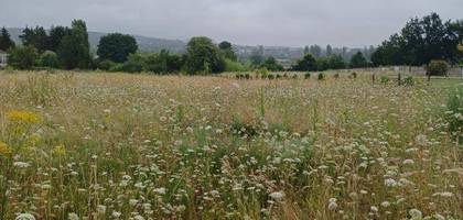 Terrain à La Ferté-Bernard en Sarthe (72) de 296 m² à vendre au prix de 32900€