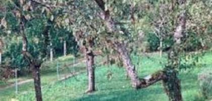 Terrain à La Grande-Paroisse en Seine-et-Marne (77) de 265 m² à vendre au prix de 83000€