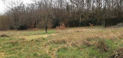 Terrain à Saumur en Maine-et-Loire (49) de 3000 m² à vendre au prix de 120000€