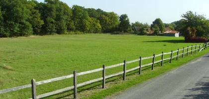 Terrain à Bourgueil en Indre-et-Loire (37) de 750 m² à vendre au prix de 45000€