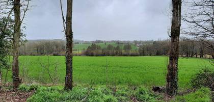 Terrain à Hédé-Bazouges en Ille-et-Vilaine (35) de 319 m² à vendre au prix de 58000€