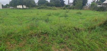 Terrain à Saint-Dolay en Morbihan (56) de 1100 m² à vendre au prix de 61000€