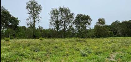 Terrain à Bénesse-Maremne en Landes (40) de 442 m² à vendre au prix de 176500€