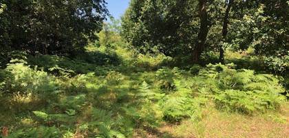 Terrain à Labenne en Landes (40) de 450 m² à vendre au prix de 260000€