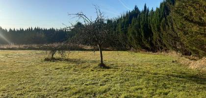 Terrain à Le Bouscat en Gironde (33) de 340 m² à vendre au prix de 476000€