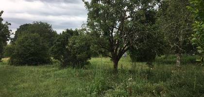 Terrain à Arsac en Gironde (33) de 779 m² à vendre au prix de 140000€