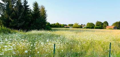 Terrain à Romilly-sur-Seine en Aube (10) de 2960 m² à vendre au prix de 63000€