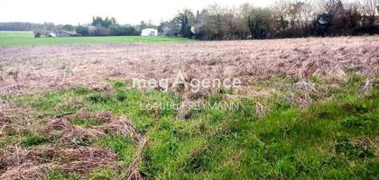 Terrain à Saint-Jean-d'Angély en Charente-Maritime (17) de 12129 m² à vendre au prix de 85000€